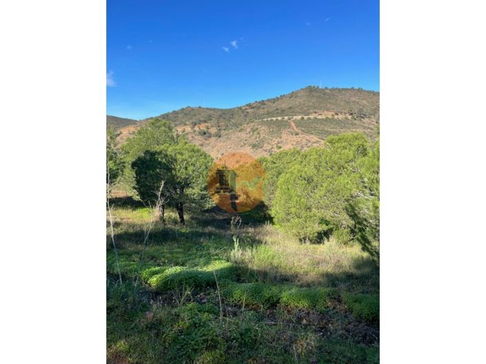 Image No.5-Plot for sale