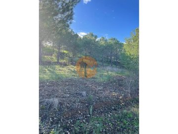 iddf4f7d01-0000-0500-0000-00001892c671