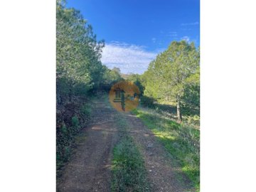 iddf4f7d01-0000-0500-0000-00001892c675