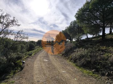 id09507d01-0000-0500-0000-00001892c6d6