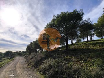 id09507d01-0000-0500-0000-00001892c6d7