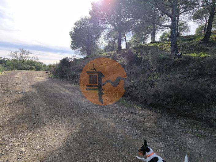 Image No.12-Plot for sale