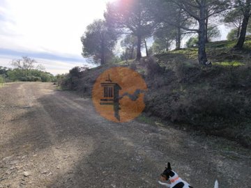 id09507d01-0000-0500-0000-00001892c6d8