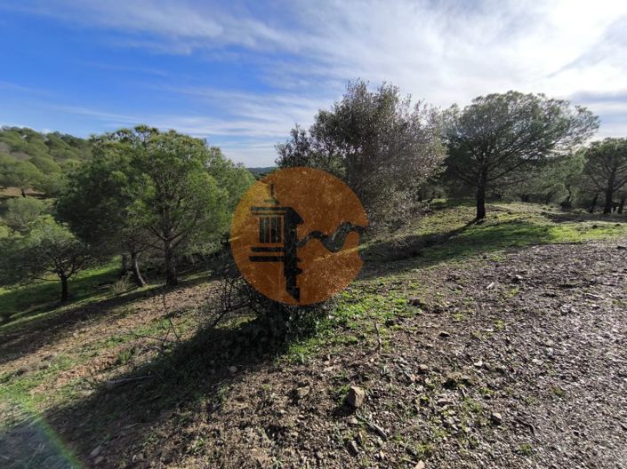 Image No.14-Plot for sale