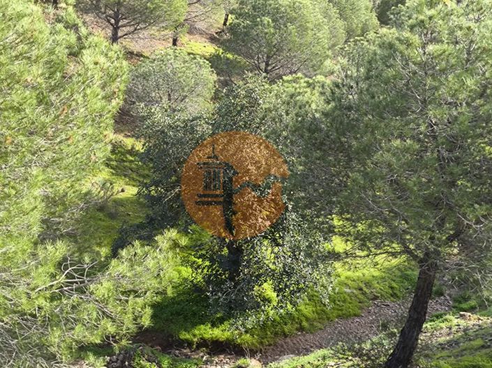 Image No.16-Plot for sale