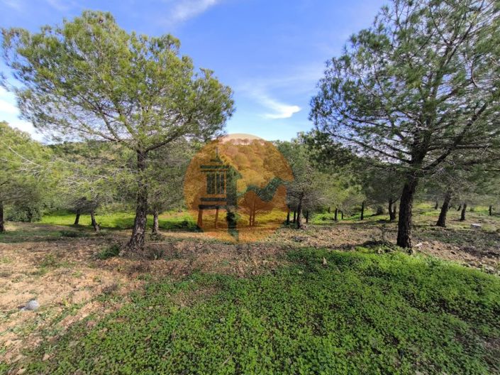 Image No.17-Plot for sale