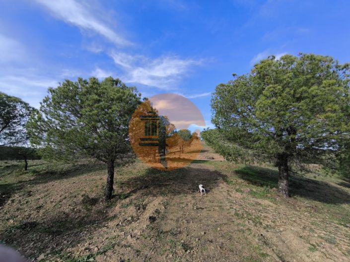 Image No.18-Plot for sale