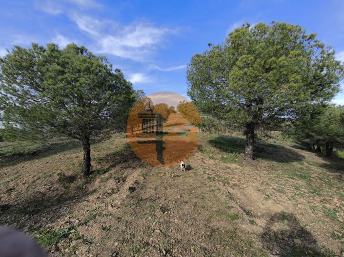 Image No.19-Plot for sale