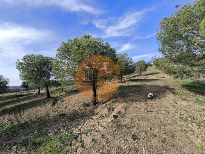 Image No.20-Plot for sale