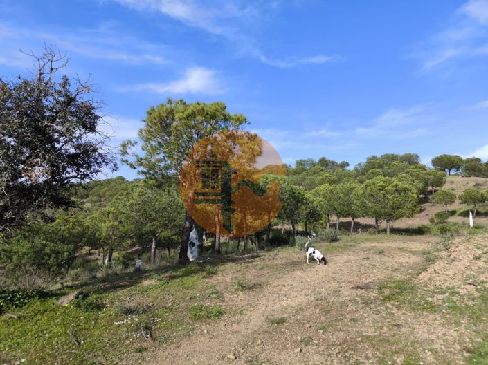 Image No.21-Plot for sale