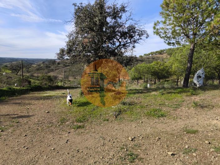 Image No.22-Plot for sale