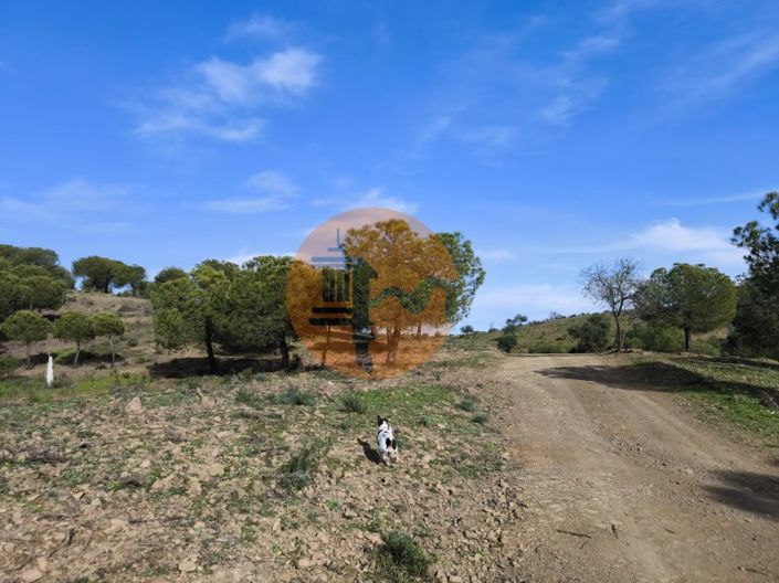 Image No.23-Plot for sale