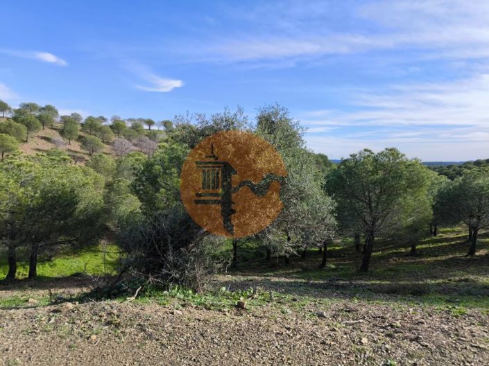 Image No.24-Plot for sale