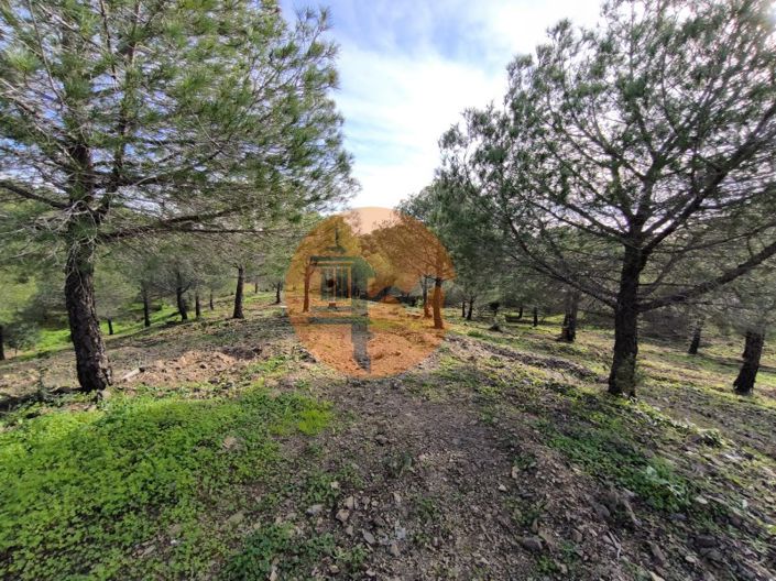 Image No.25-Plot for sale