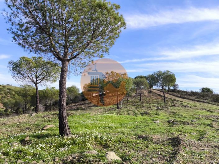 Image No.26-Plot for sale