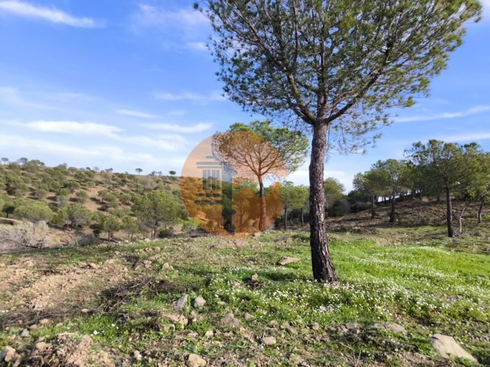 Image No.27-Plot for sale