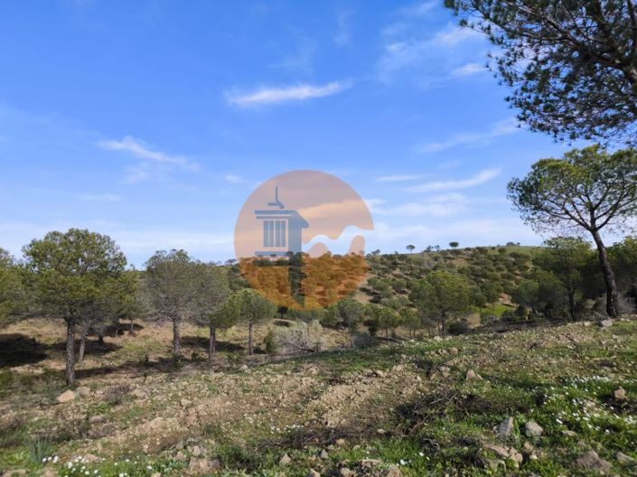 Image No.28-Plot for sale