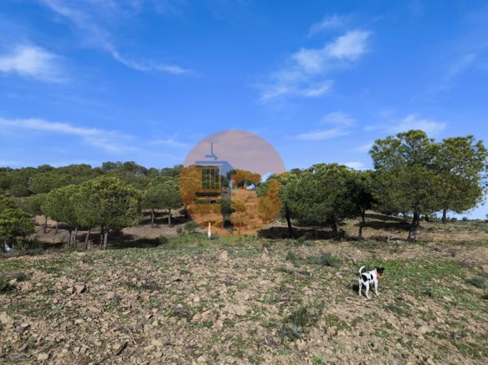 Image No.4-Plot for sale