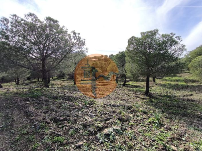 Image No.5-Plot for sale