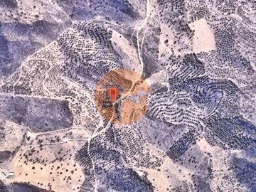 id09507d01-0000-0500-0000-00001892c6cf