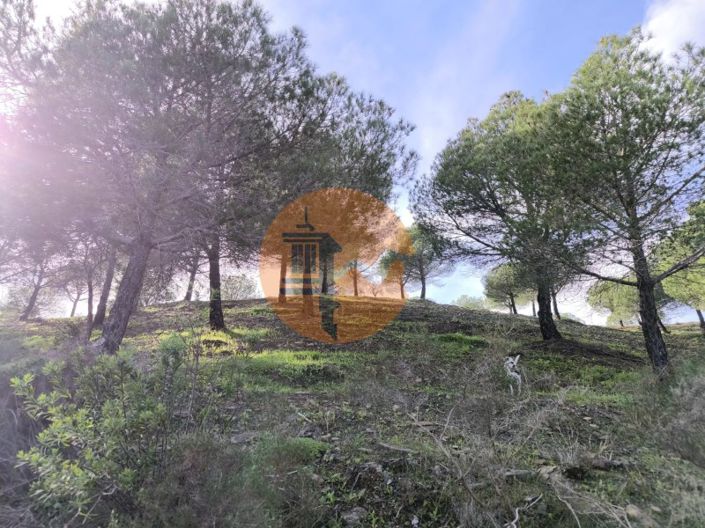 Image No.7-Plot for sale