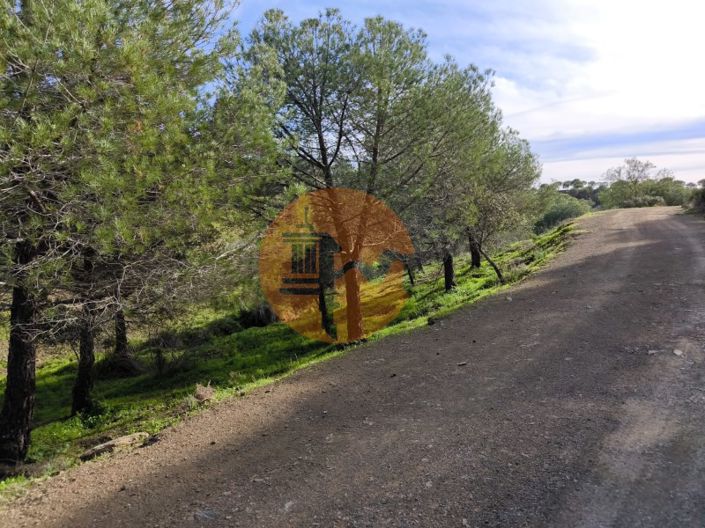 Image No.9-Plot for sale