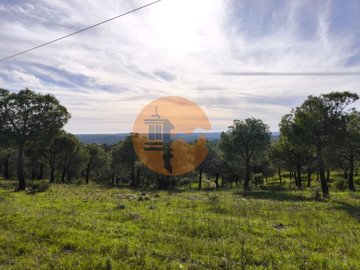 idcb507d01-0000-0500-0000-00001892c7a5