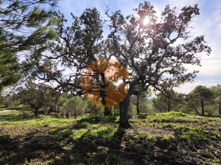 Image No.13-Plot for sale