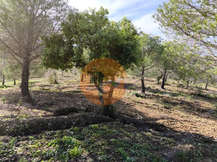 Image No.16-Plot for sale