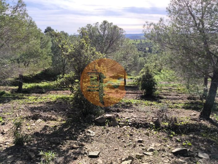 Image No.18-Plot for sale