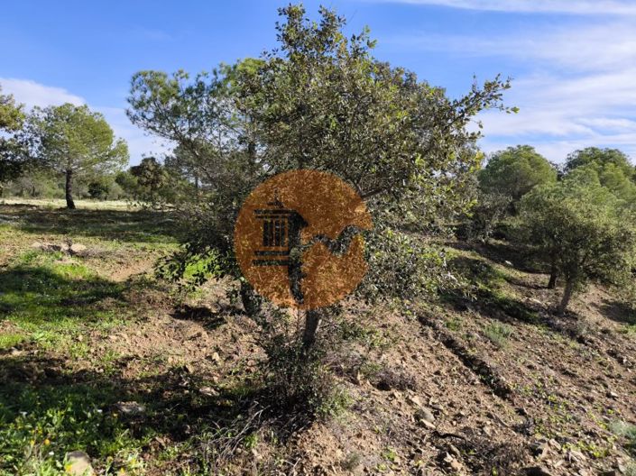 Image No.19-Plot for sale