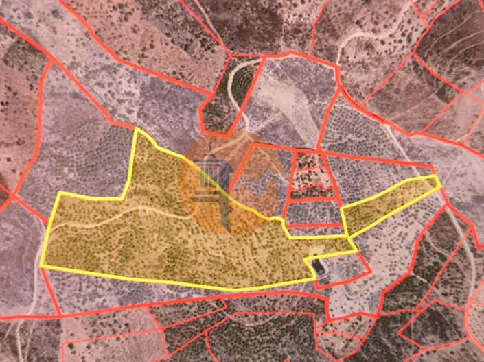 Image No.2-Plot for sale