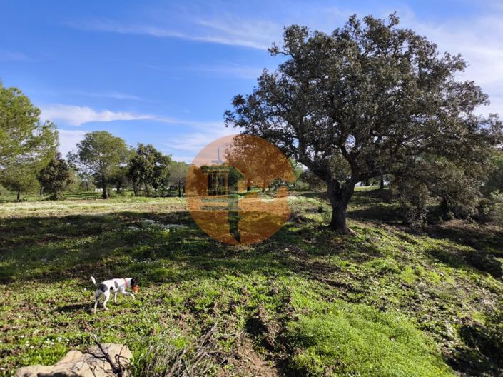 Image No.20-Plot for sale