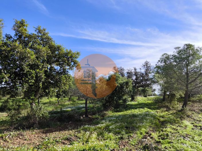 Image No.21-Plot for sale