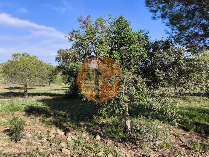 Image No.22-Plot for sale