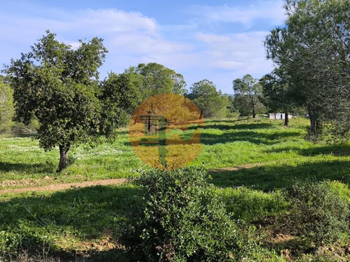 Image No.23-Plot for sale