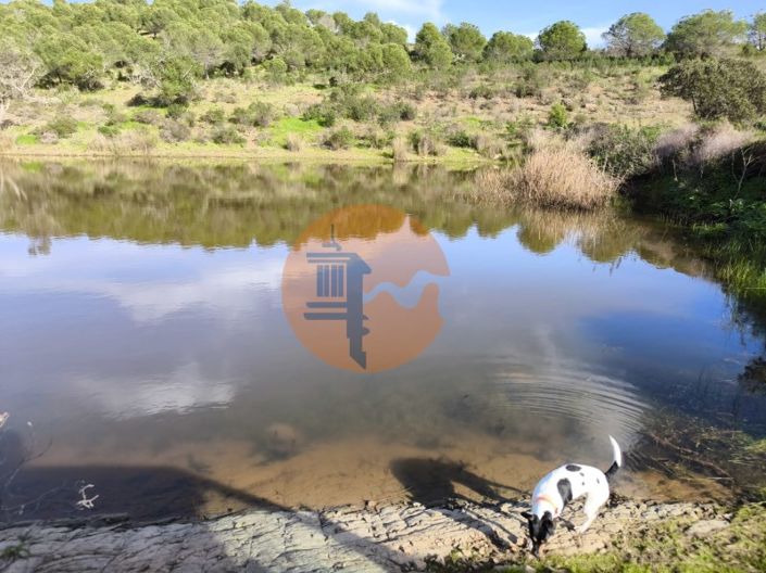 Image No.3-Plot for sale