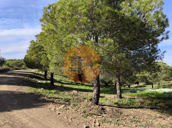 Image No.4-Plot for sale