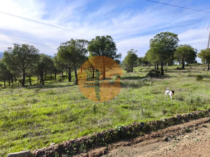 Image No.5-Plot for sale