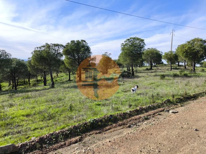 Image No.7-Plot for sale