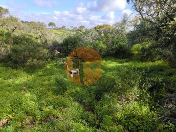 id6841ba01-0000-0500-0000-000018bca8f7