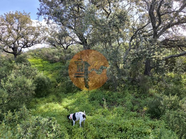 Image No.11-Plot for sale