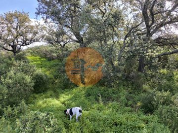 id6841ba01-0000-0500-0000-000018bca8f8