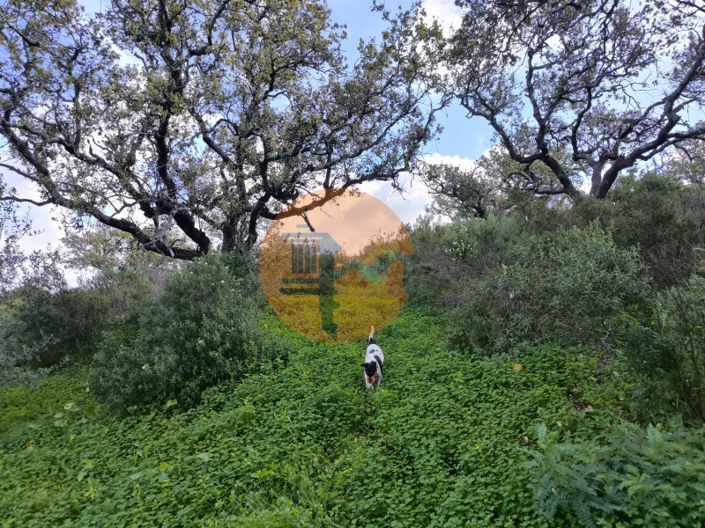 Image No.13-Plot for sale