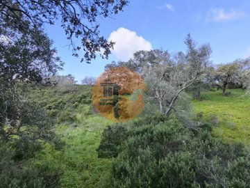 id6841ba01-0000-0500-0000-000018bca8fb