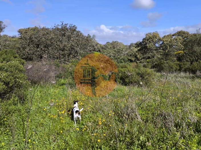 Image No.16-Plot for sale