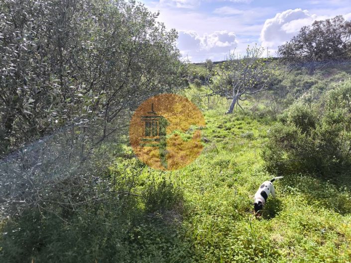 Image No.17-Plot for sale