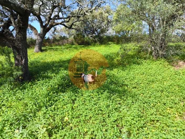 Image No.18-Plot for sale