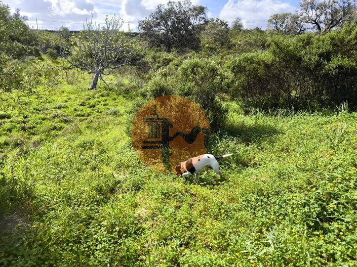 Image No.19-Plot for sale