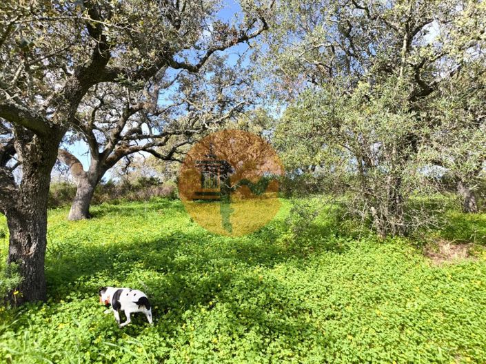 Image No.20-Plot for sale